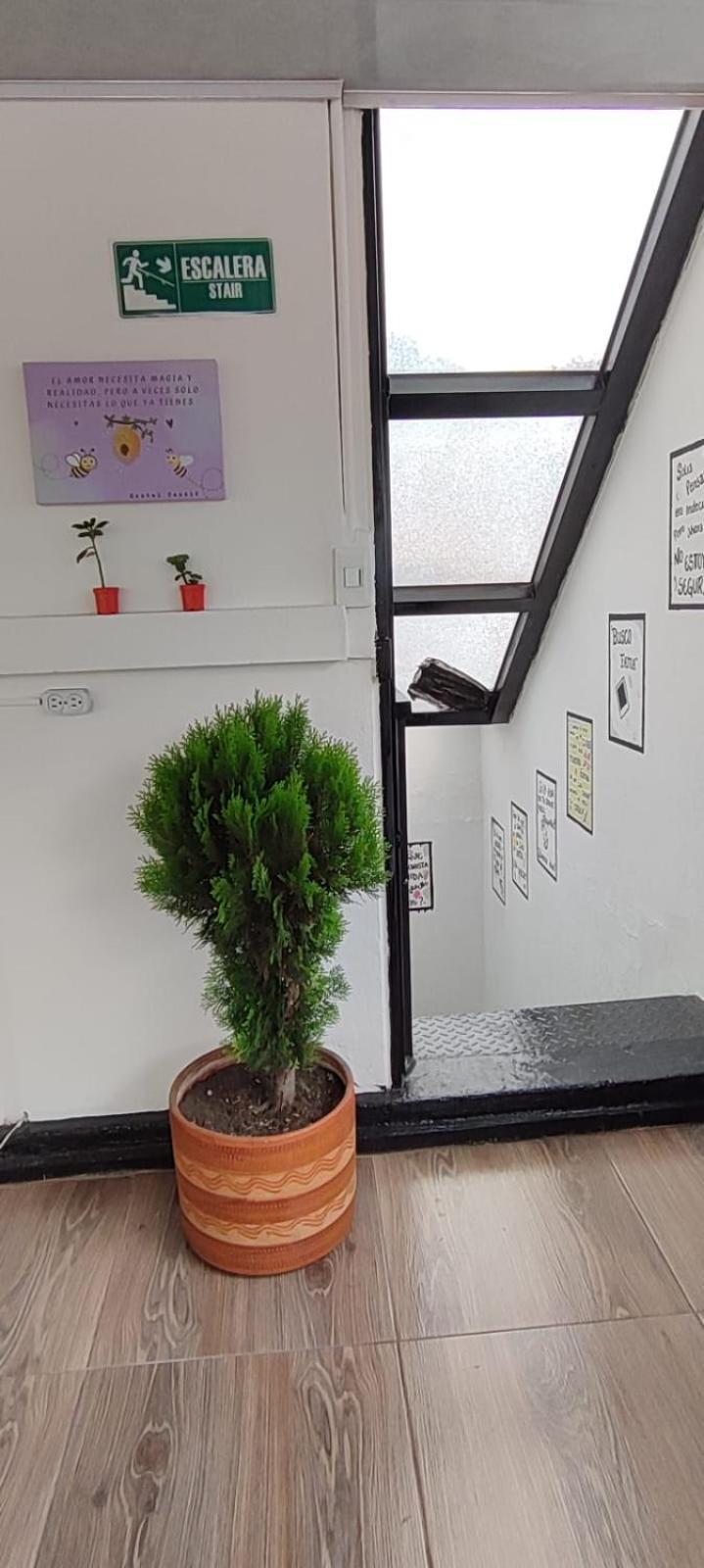 Hostal Casale Usaquen Bogota Buitenkant foto